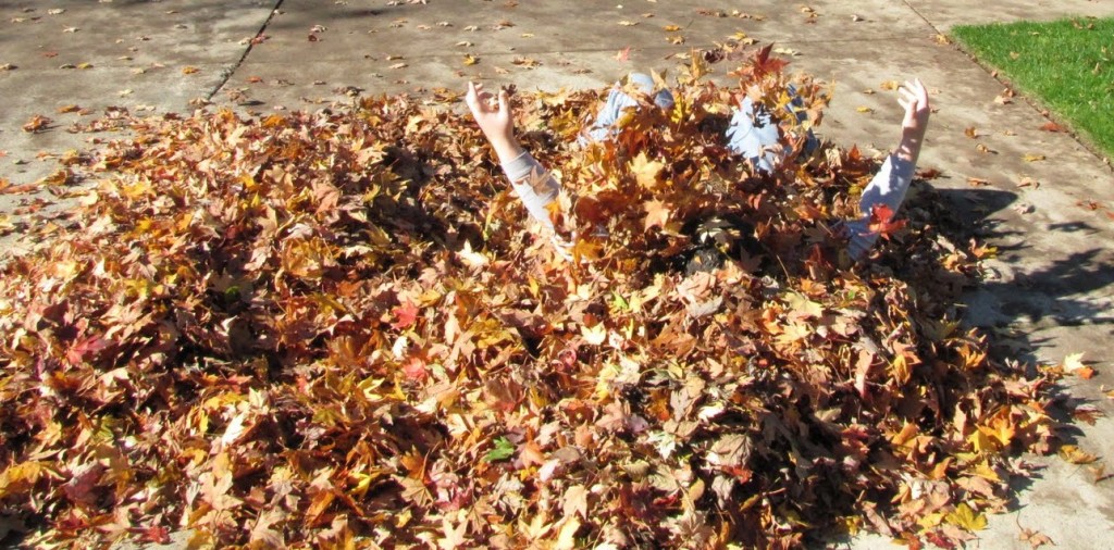 A Pile of Leaves to Hide In for your Halloween Gag