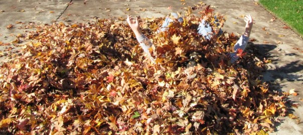A Pile of Leaves to Hide In for your Halloween Gag